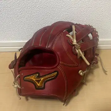 미즈노 MIZUNO 미즈노 프로 클래식 연식 내야수용 그로브