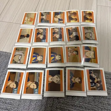 하이큐!! 파샤코레 20장