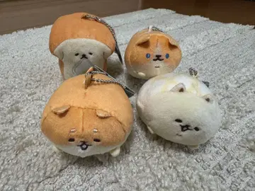 이스트켄 키링 4종