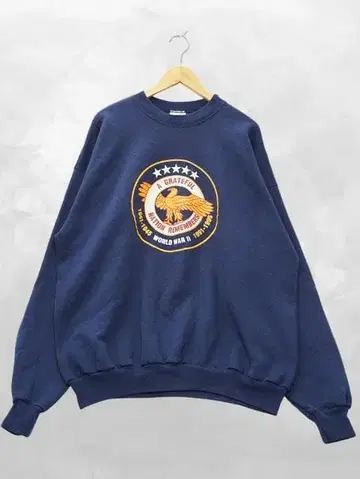 헤인즈 Hanes 프린트 긴팔 속기모 풀오버 맨투맨 트레이닝복