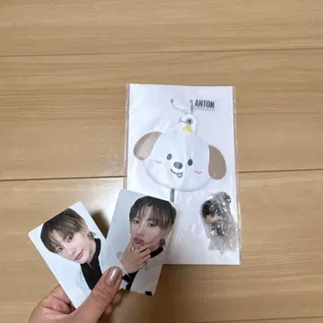 ANTON 키링과 포토 카드 세트