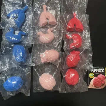 인체 모형 피규어 마스코트 전 12종 컴플리트 세트