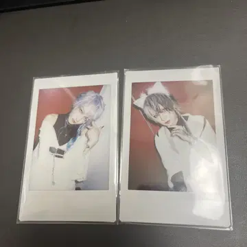 JILUKA Sena Zyean 폴라로이드 2장 세트