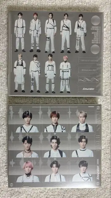 Snow Man CD snowlabo