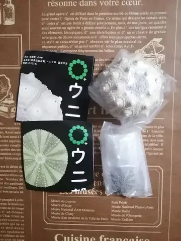 2종 네이처 테크니컬러 MONO PLUS 성게 껍질 마그넷 컬렉션