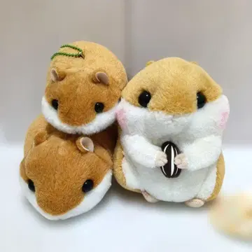 코로하무 콜론 3개 세트