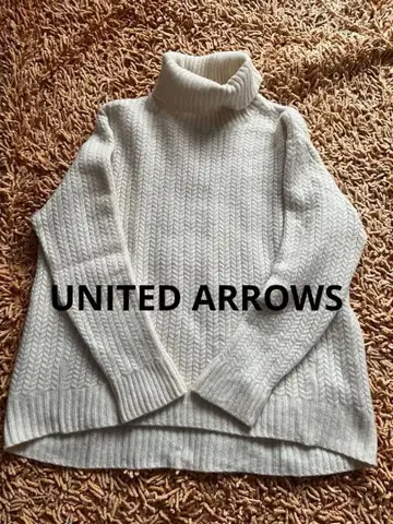 UNITED ARROWS 케이블 니트 터틀넥