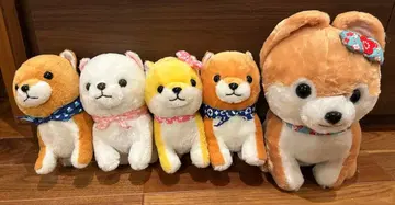 [ 5마리 세트 ] 콩 시바견 삼형제 봉제 인형