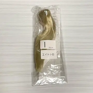 6분의1 남자 도감 식모 블랭크 헤드 에이트