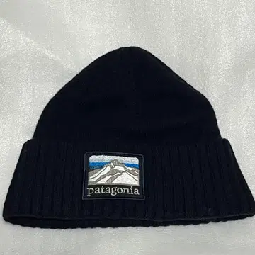 파타고니아 patagonia 니트 캡 네이비 비니