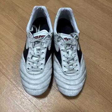 모렐리아 2 japan