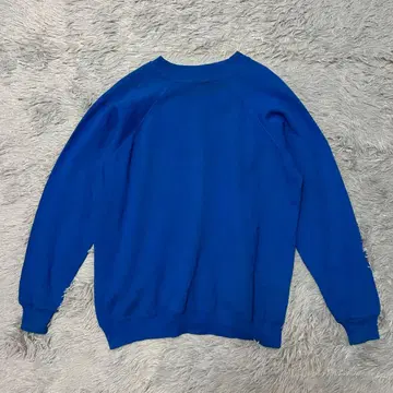 90s Hanes 헤인즈 인기 무지 짧은 기장 맨투맨 미국제 래글런