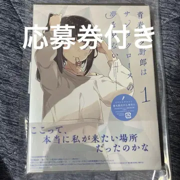 청춘 돼지 은 산타클로스의 꿈을 꾸지 않아 DVD