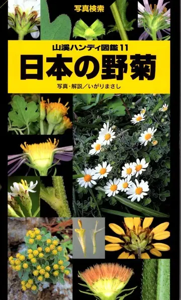 야마케이 핸디 도감 11 일본의 들국화