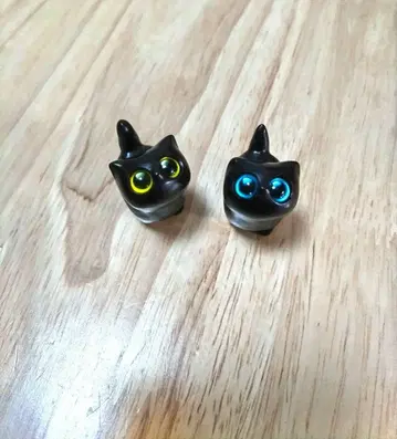 만박 수단 고양이