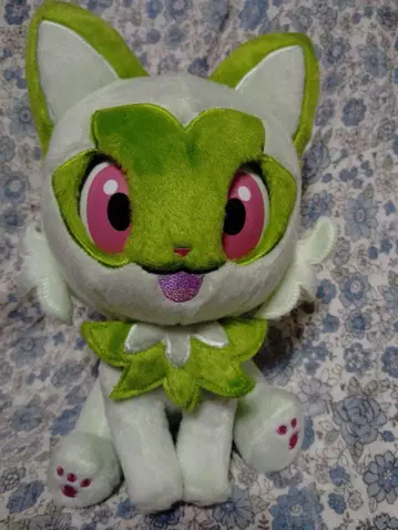 파치쿠리 냐오하