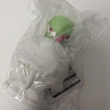 당일 발송 메가 리자몽 봉제 인형 미사용 새상품