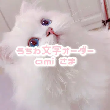 ami 님 부채 문자 오더 페이지