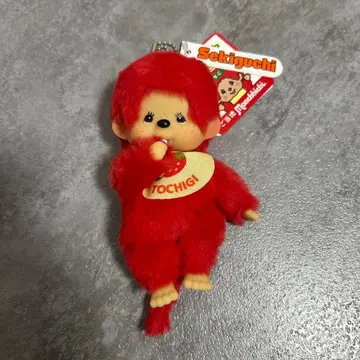 지역 한정 도치기 한정 몽치치 딸기
