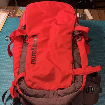 파타고니아 빨간색 백팩