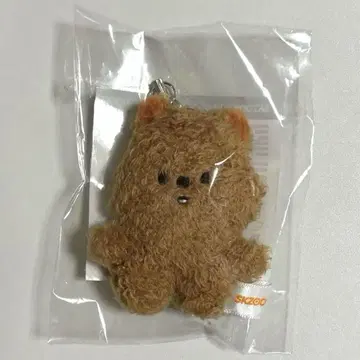straykids 한쿼카 마이크로 키링