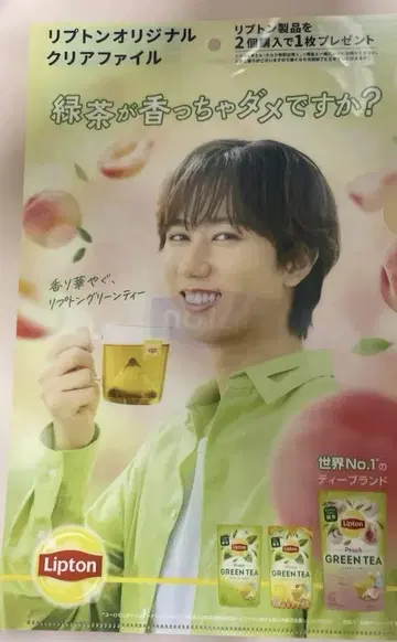 립톤 클리어 파일