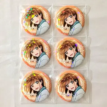 푸른상자 사슴노 치나츠 키노쿠니야 서점 캔뱃지 6개