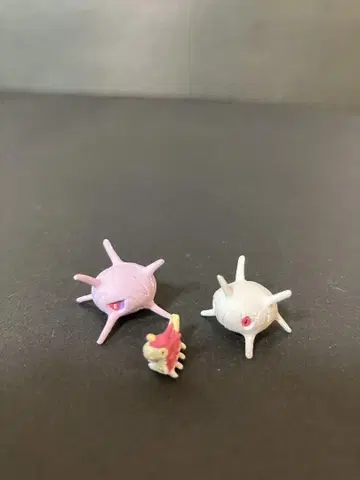 포켓몬 입체포켓몬도감 케무옷소 카라사리스 마유루도 3체 세트