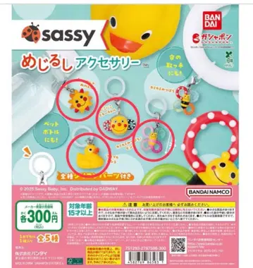 sassy 메지루시 액세서리 4세트