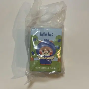 zeroni LINEFRIENDS 비니니 후르츠 제로니