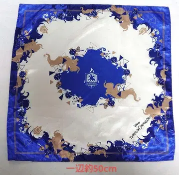 트위스테 이그니하이드 스카프 이데아 오르토