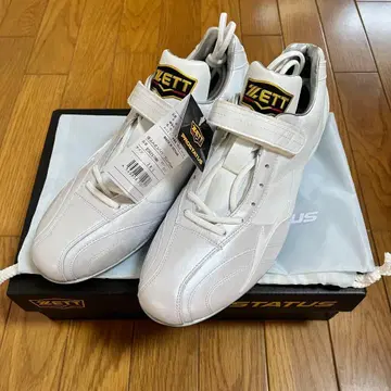 ZETT 매립형 스파이크 프로스테이터스WH 28.0