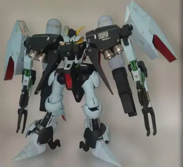 HG 바이아란 커스텀 전체 페인팅 완료품