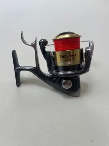 BB-X DESPINA C3000D 낚시릴