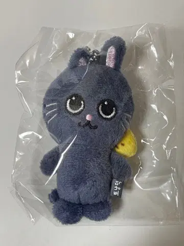 RIIZE 원빈 봉제 인형 토냥덕