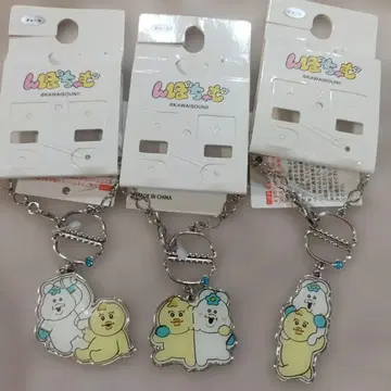 백참 3개 세트