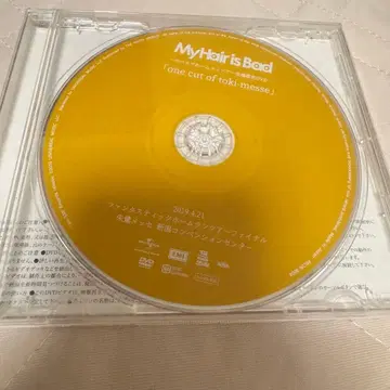 My Hair is Bad 서바이벌 홈런 투어 회장 한정판 DVD