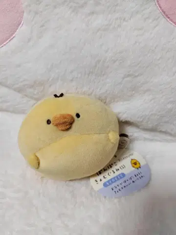 퐁포코쿄무구루미(S) 키이로이토리
