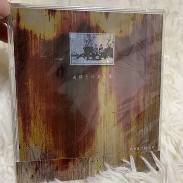 deadman 비 내리는 해바라기