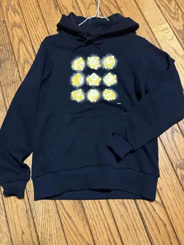 디즈니 위시 스타