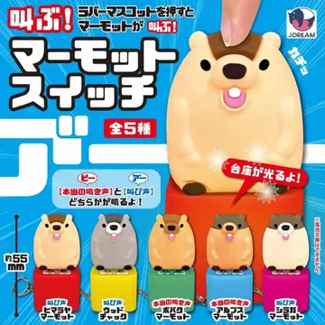 외쳐라! 마모트 스위치 컴플리트 세트