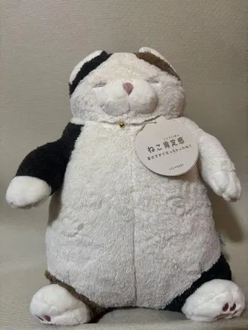 고양이 긍정감 L 사이즈