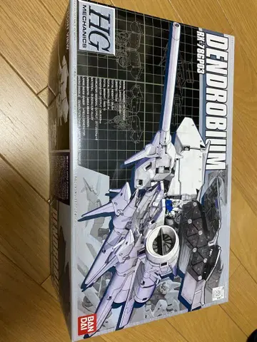 HG DENDROBIUM 덴드로비움