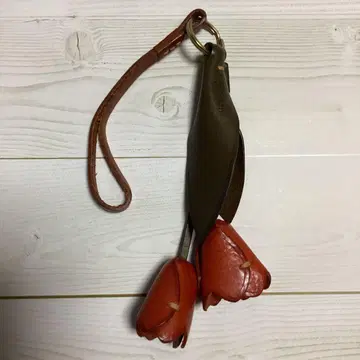 genten 튤립 참