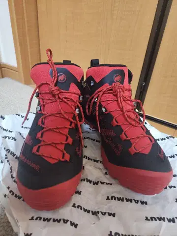 MAMMUT DUCAN MID GTX Men EU 42