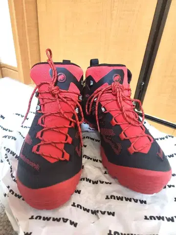 MAMMUT DUCAN MID GTX Men EU 42