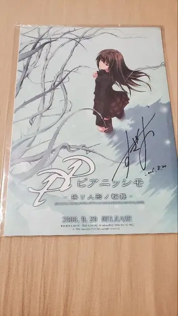 innocent grey 피아니시모 스기나 선생님 사인 포함 팜플렛