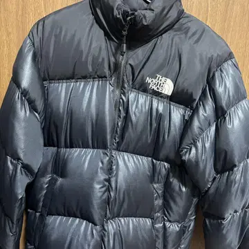 THE NORTH FACE 눕시 US 700