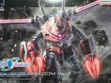 HG 1/144 즈고크 ( SEED FREEDOM Ver. )