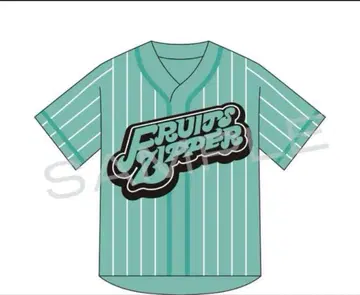 Fruits Zipper 민트 그린 셔츠